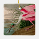 Recherche de audubon ornements Nature