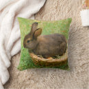 Recherche de lapins coussins Lapin de pâques