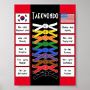 Recherche de karate martial arts posters Taekwondo