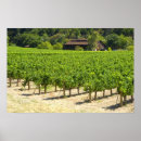 Search for wineries posters Napa valley