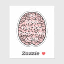 Search for funny university stickers Engineering