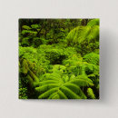 Search for lush buttons Rainforest