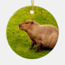 Search for capybara ornaments Animal