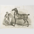 Recherche de soldats à cheval Vintage