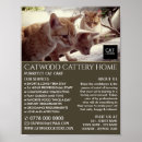 Search for dog sitter posters Pets