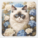 Search for ragdoll stickers Pet