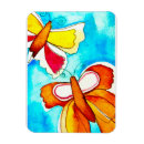 Search for watercolour magnets Positivity
