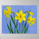 Recherche de daffodil posters Jaune