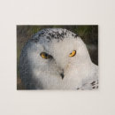 Recherche de owl puzzles Birds