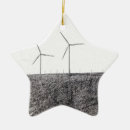 Search for spinning ornaments White