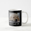 Search for life is golden mugs Dogs