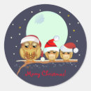 Search for owl family stickers Owls