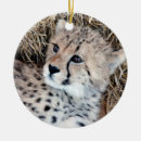 Search for cub ornaments Adorable