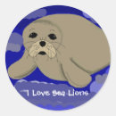 Search for marine envelope seals Ocean