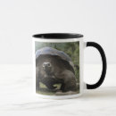 Search for galapagos mugs Reptile