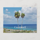 Search for cozumel postcards Caribbean