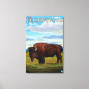 Search for bison canvas prints Yellowstone