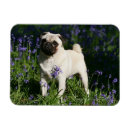 Recherche de cloche magnets Fleurs