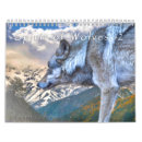 Recherche de loups calendriers Loup gris