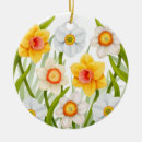 Search for daffodil ornaments Garden