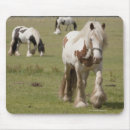 Search for clydesdale electronics Animal