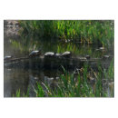 Recherche de tortue planches à découper Nature