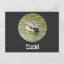 Recherche de canards cartes postales Mignon