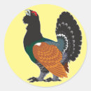 Recherche de tetra autocollants Oiseau