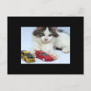 Search for cute car postcards Cat