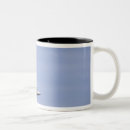 Recherche de frelon tasses Avions