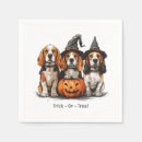 Recherche de chien beagle serviettes Amoureux