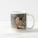 Recherche de chat tigre tasses Mignon