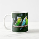 Search for budgerigar mugs Parakeets