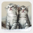 Search for bedroom labels Cat