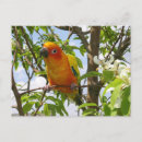 Search for stuffer postcards Cute