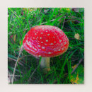 Search for magic puzzles Mushroom