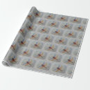 Recherche de insecte papier cadeau Belle