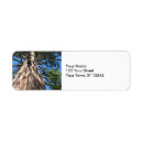 Search for california return address labels Yosemite