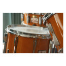 Recherche de percussion photographie Batteur