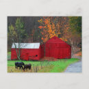 Recherche de cheval rouge cartes postales Rural