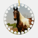 Search for paint horse ornaments Pony