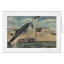 Recherche de marsouin cartes postales Presse