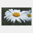 Search for face rectangle stickers Nature