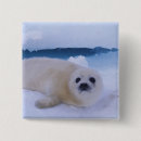 Recherche de phoque badges Canada