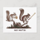 Recherche de nuts cartes postales Drôle