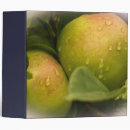 Recherche de verger bureau fournitures Fruit
