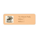 Search for donkeys return address labels Pets