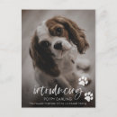 Search for fur baby mother Puppy