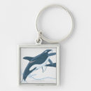 Search for killer whale keychains Animal