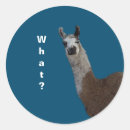 Search for basically stickers Fun